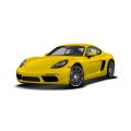 KM/Mile Freezer for the Porsche Cayman 981 - Image 1
